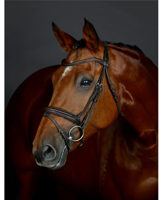 Collegiate Comfitech Opulux Plain Padded Hanoverian Flash Bridle