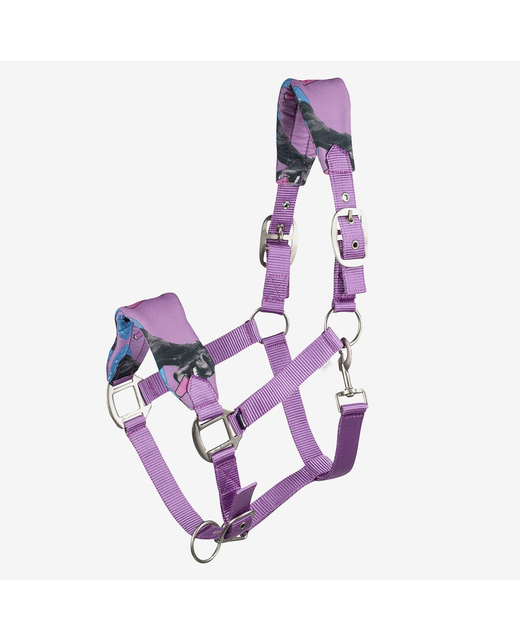 HZ Bree Pony Halter