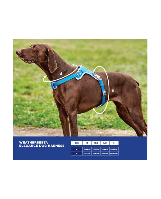 Weatherbeeta Elegance Dog Harness