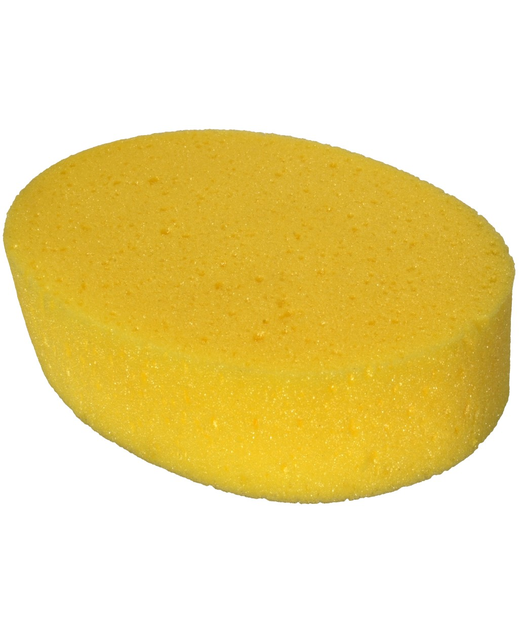 Sponge Oval Large
