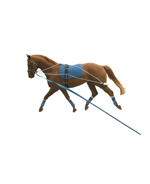 Kincade Lunging System
