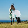 Weatherbeeta GreenTec 900D Detach A Neck Lite Plus