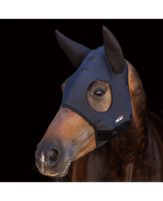 Lami-Cell Titanium Hood With Ears