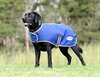 Weatherbeeta Comfitec Premier Free Parka Dog Coat Medium/Lite