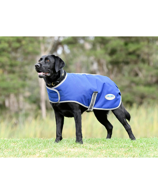 Weatherbeeta Comfitec Premier Free Parka Dog Coat Medium/Lite