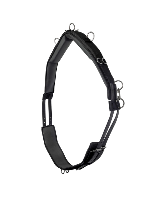 Deluxe Lunge Roller