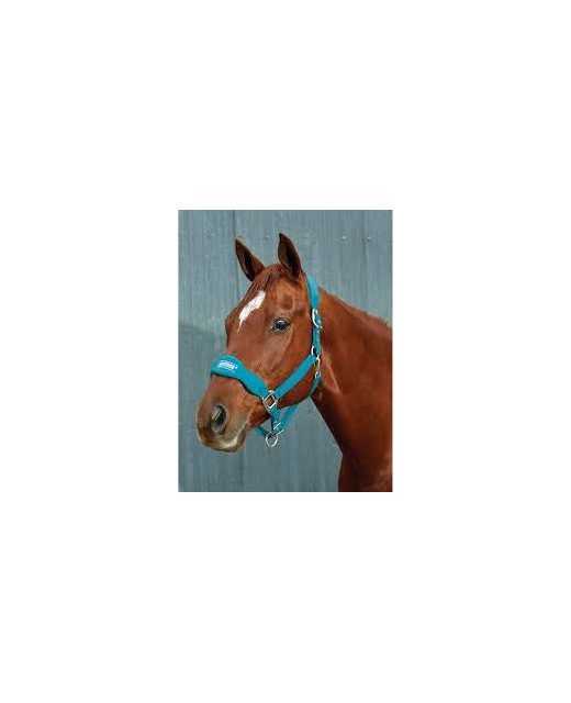 Roma Fleece Shaped Headcollar