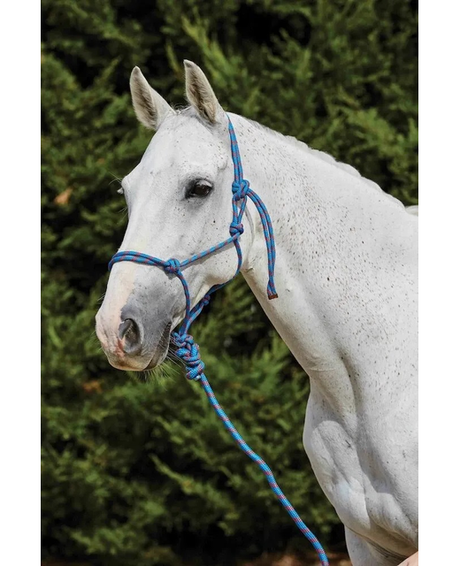 Saxon Two Tone Rope Halter And Lead Set