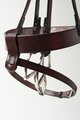 Flair Hanoverian Flash Converter