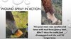 Equine SuperGoo Wound Spray