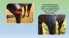 Equine SuperGoo Original Topical Cream 500ml