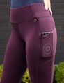 Dublin Form Mesh Riding Tights