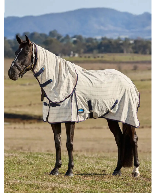 NEW Weatherbeeta Cotton Summer Sheet Combo