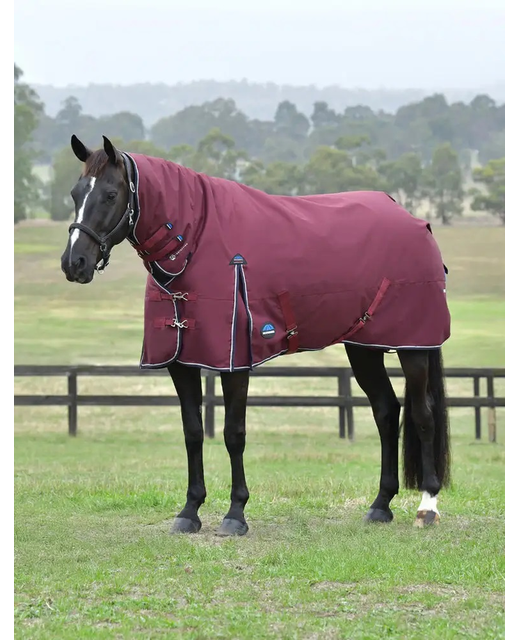 NEW Weatherbeeta ComFiTec Essential Turnout Combo 50gm