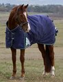 NEW Weatherbeeta ComFitec Plus Dynamic Turnout Standard