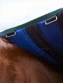 NEW Weatherbeeta ComFitec Plus Dynamic Turnout Standard