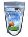 PowerStar Pazture Mag – Magnesium and B1 500gram