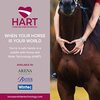 Wintec500 Pony All Purpose Saddle Hart Panels