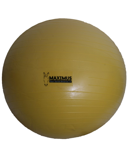 Maixmus Power Play Ball 75cm