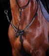 Collegiate Elastic Event Breastplate