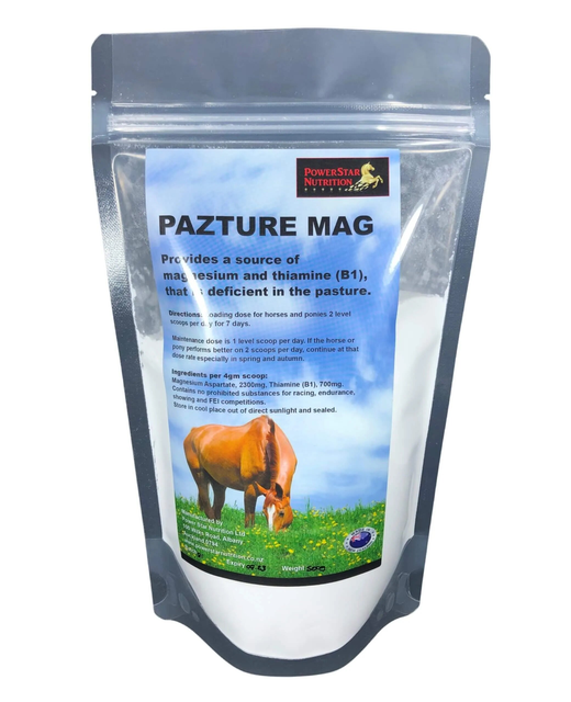 PowerStar Pazture Mag – Magnesium and B1 500gram