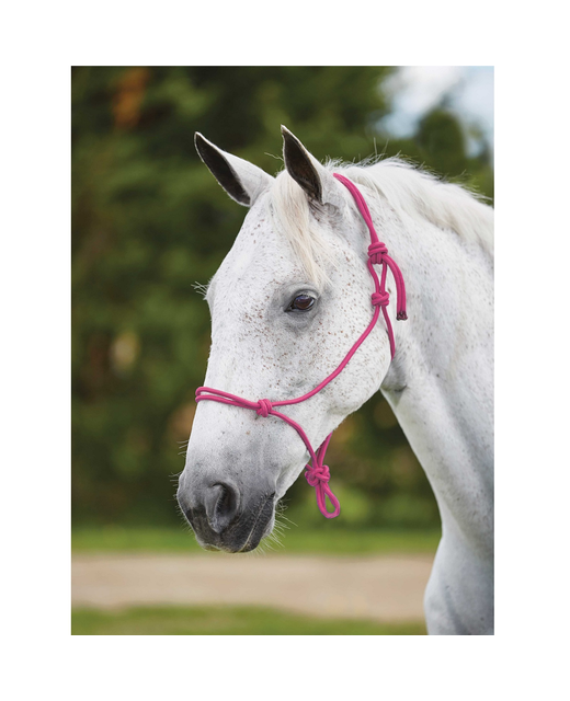 Roma Nylon Rope Headcollar NEW Colours