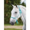 Roma Nylon Rope Headcollar NEW Colours