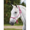 Roma Nylon Rope Headcollar NEW Colours
