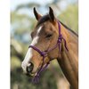 Roma Nylon Rope Headcollar NEW Colours