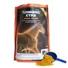 Equine America Tumeric Xtra Powder 1KG