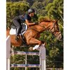 Weatherbeeta Prime Air-Tec Saddle Pad Jump