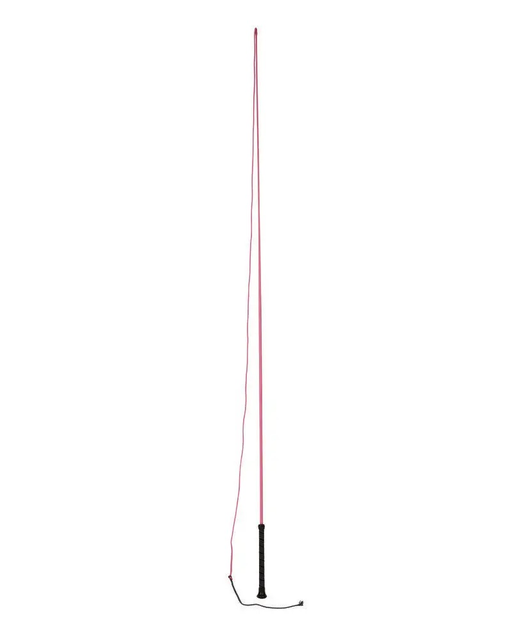 Dublin Brights Lunge Whip Assorted