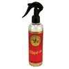 Champion Tails Stayz In Plait Spray 250ml