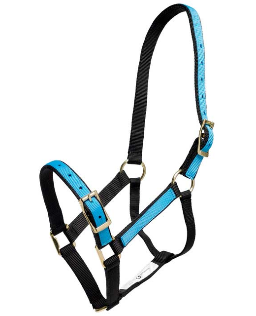 Halter-Overlay