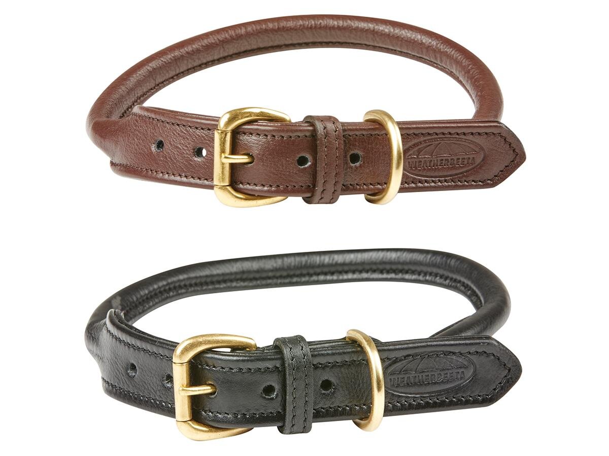 Richmond dog collar hotsell