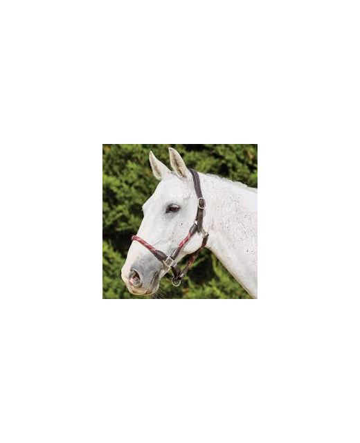 Kincade Leather Rope Halter HorseHalters & Accessories Richmond