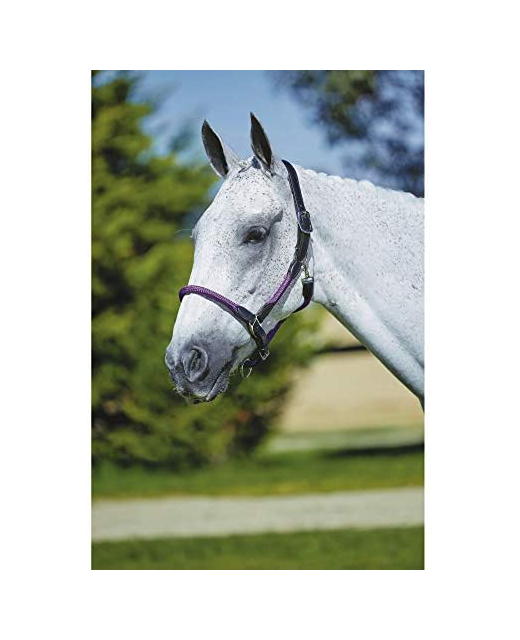 Kincade Leather Rope Halter ( Discontinued ) Colours HorseHalters
