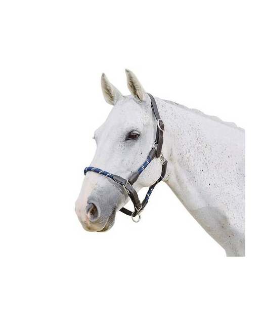 Kincade Leather Rope Halter ( Discontinued ) Colours HorseHalters
