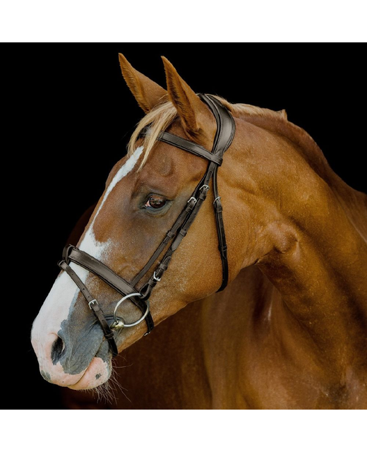 Platinum Anatomical Flat Padded Bridle