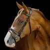 Platinum Anatomical Flat Padded Bridle