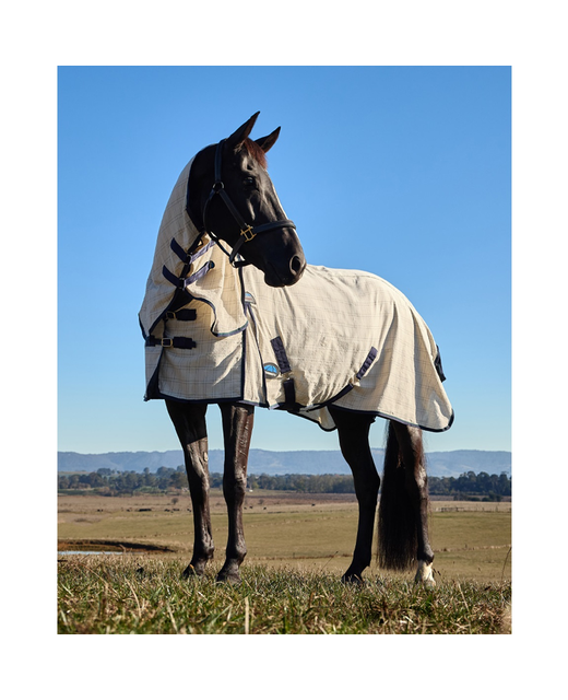 Weatherbeeta Cotton Summer Sheet Lite Combo NEW